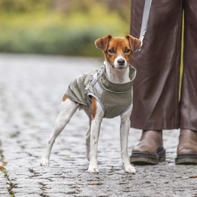 Regntäcke för hund
